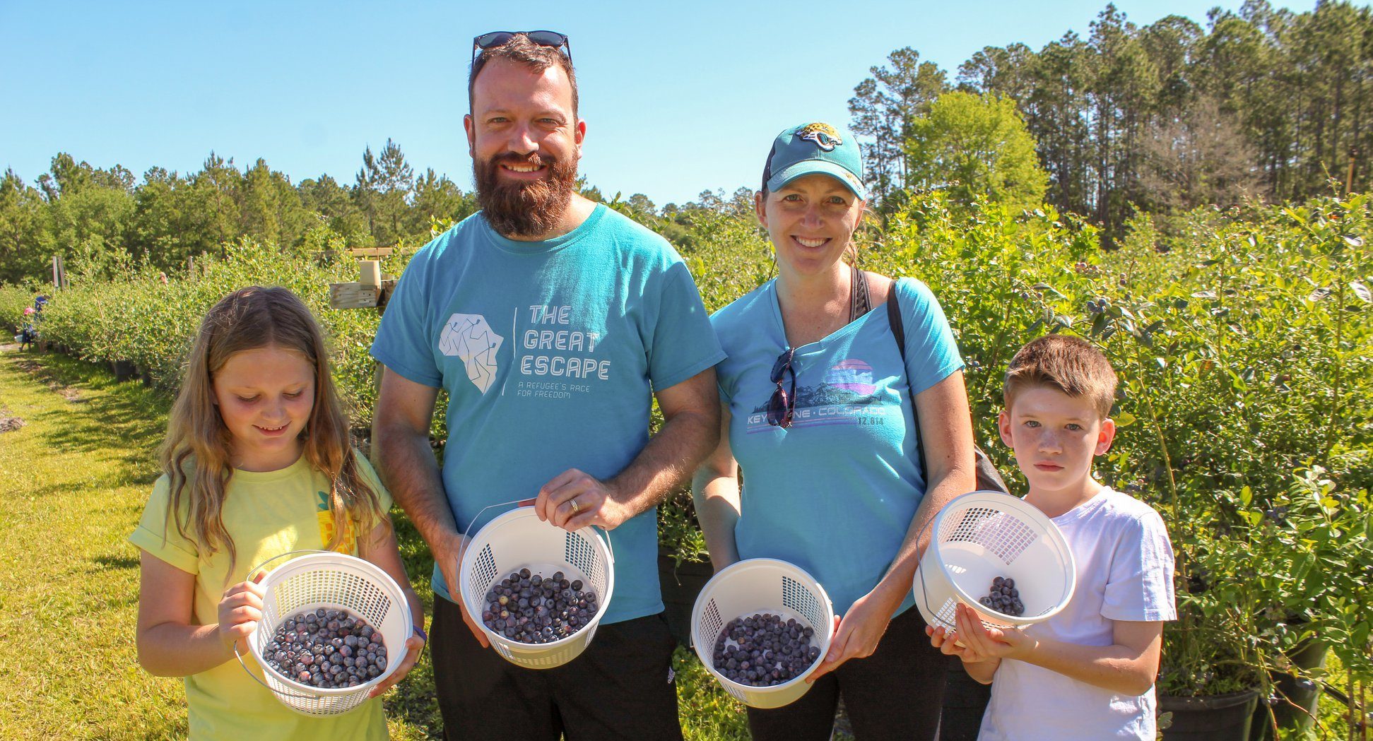 Experience the joy of blueberry picking at Blu By U Farm, an inviting setting for family fun.