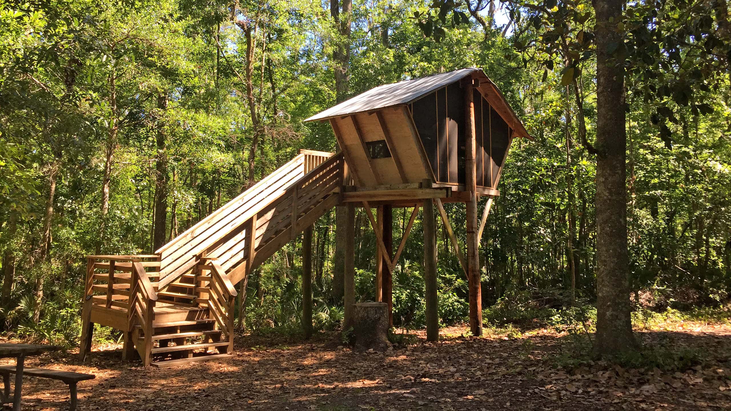 Explore the historic 1970s treehouse cabins at Camp Chowenwaw Park, a perfect trail amenity blending adventure with a nostalgic touch.